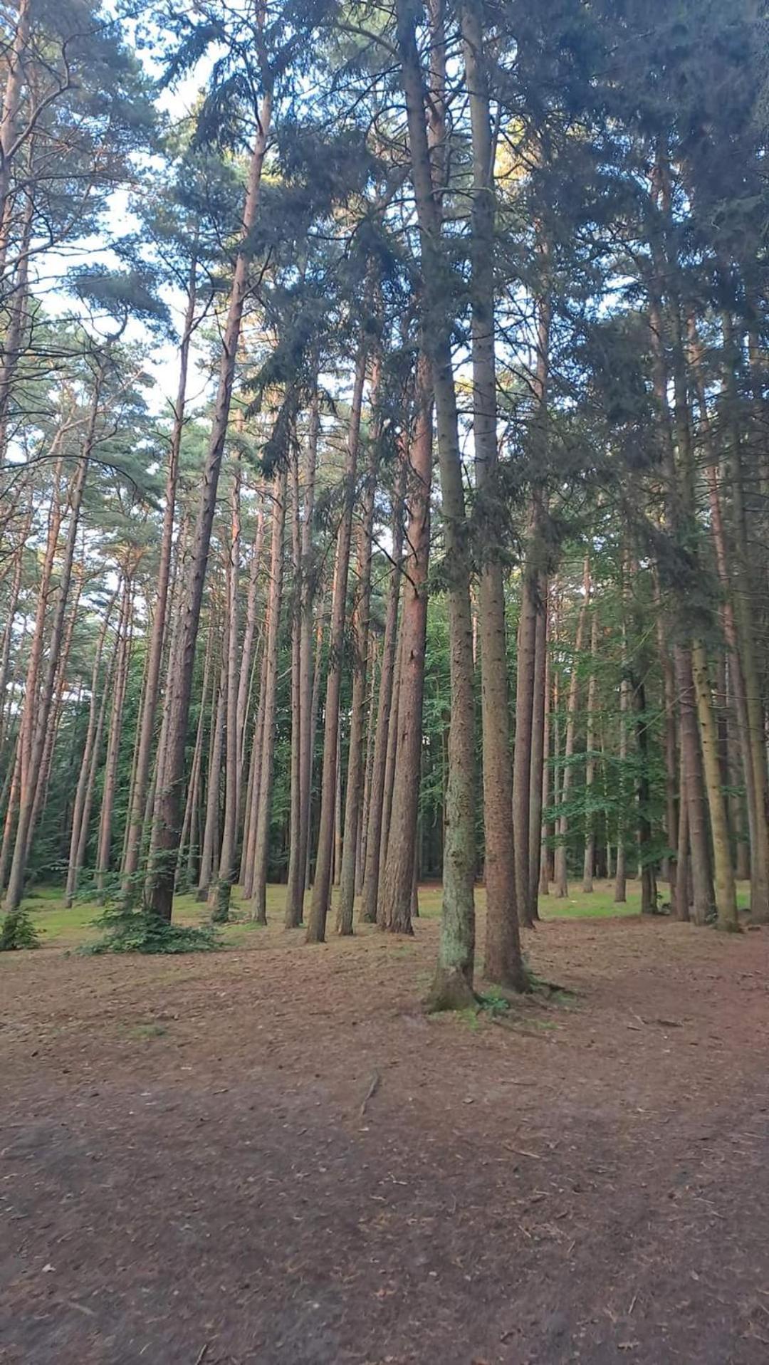 Pobierowo Baltic Apartaments D5 Esterno foto
