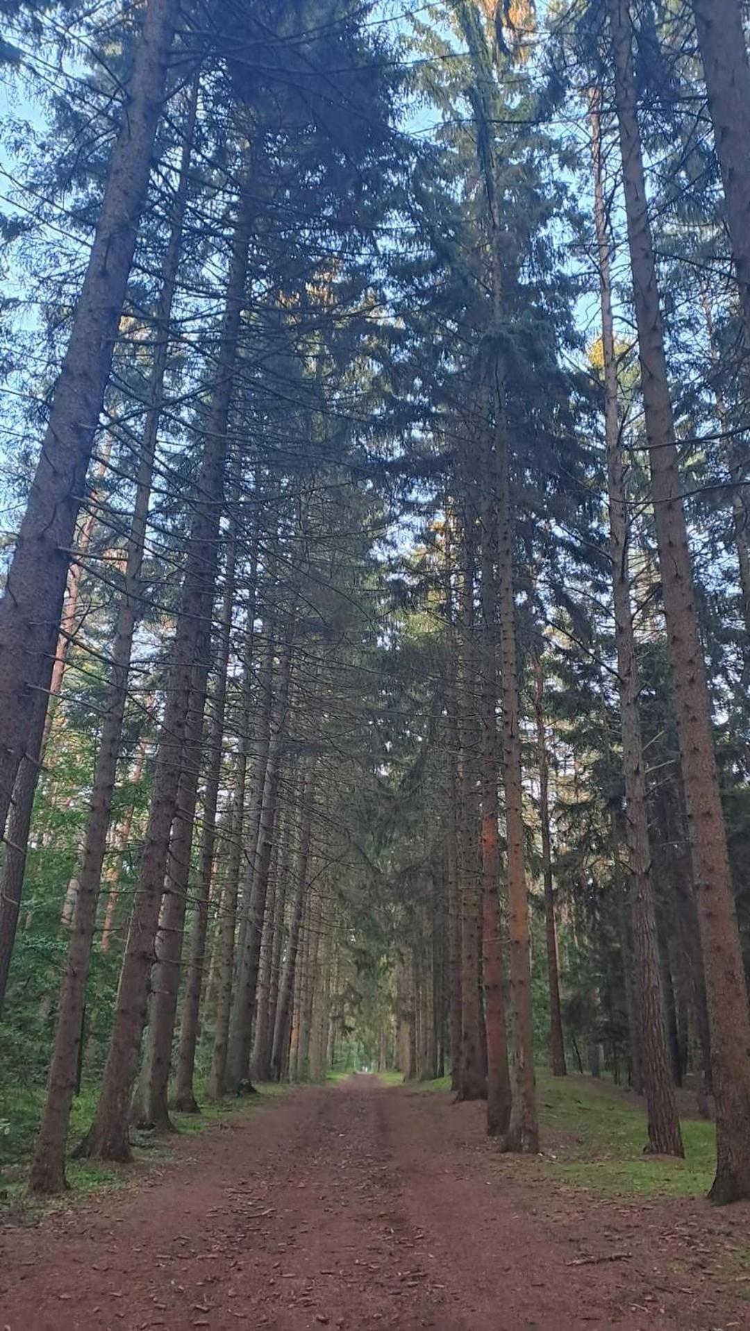 Pobierowo Baltic Apartaments D5 Esterno foto